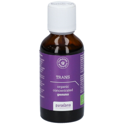 Purasana Puragem Trans características