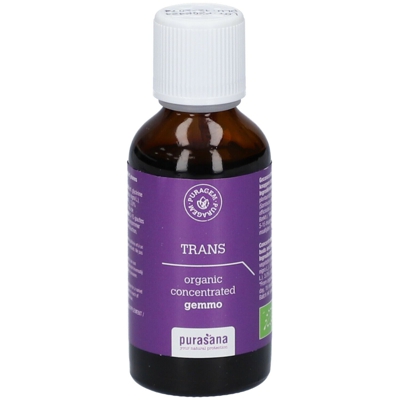 Purasana Puragem Trans