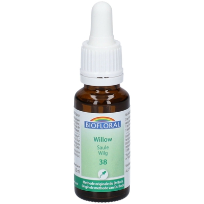 Biofloral 38 - Willow - Saule