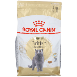 Royal Canin British Shorthair precio