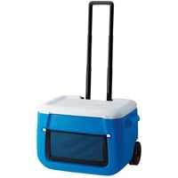 2000036081, Glacière