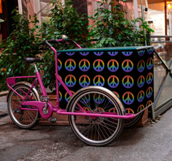 Autocollant Velo Conception de paix pour vélo cargo en oferta