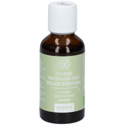 Purasana Puragem Viorne características