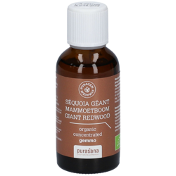 Purasana Puragem Séquoïa géant Macérat concentré de bourgeons precio