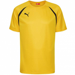 PUMA Vencida Hommes Maillot 700754-07 precio