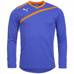PUMA Esito Hommes Maillot de gardien de but à manches longues 701064-37 precio