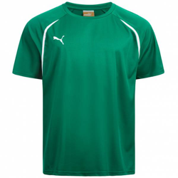 PUMA Vencida Hommes Maillot 700754-05 características