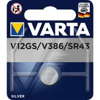 SILVER Coin V12GS, Batterie precio