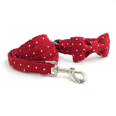 Ensemble longe & collier nœud papillon pour chien
