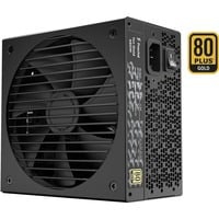 ION Gold 650W, Alimentation