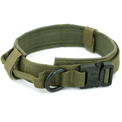 Collier militaire pour chien precio