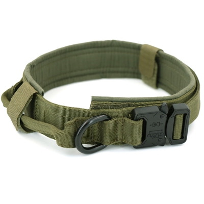 Collier militaire pour chien