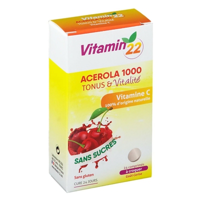 Ineldéa Vitamine 22 Acérola 1000