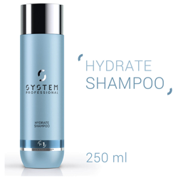 Shampooing Hydrate System Professional 250 ml características