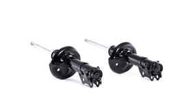 RIDEX Amortisseurs VW,SKODA,SEAT 854S1999 535413031B,6K0413031B,6U7512021A Amortisseur 357413031H,535413031B,535413031C,535435031C,6K0413031B precio