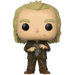 PETER PETTIGREW / HARRY POTTER / FIGURINE FUNKO POP características