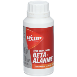 Wcup Beta-Alanine características