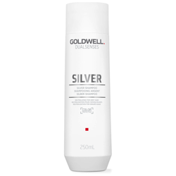 Shampooing Argent Silver Goldwell Dualsenses 250 ml precio