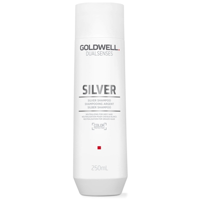 Shampooing Argent Silver Goldwell Dualsenses 250 ml
