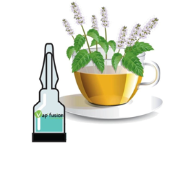 Arome Thé à la menthe Vap'fusion precio