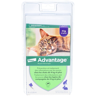 Advantage 80 pour chat et lapin