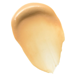 Base paupières longue tenue Bobbi Brown (différentes teintes disponibles) - Light en oferta