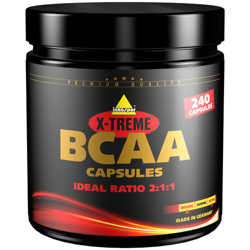 Inkospor X-Treme® Bcaa características