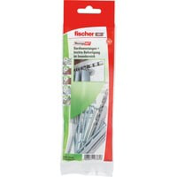 534584, Goujon características