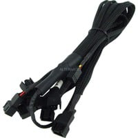 3Pin Molex auf 9x 3Pin Molex 60cm 1 m, Câble en Y características