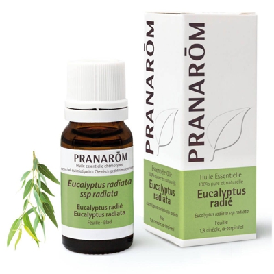 Pranarôm Eucalyptus Radié Huile Essentielle Bio