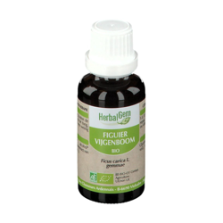 Herbalgem Figuier Bio precio