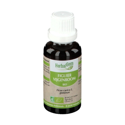 Herbalgem Figuier Bio