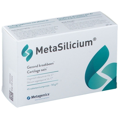 MetaSilicium