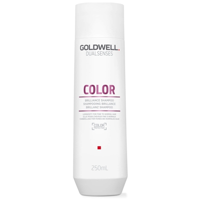 Shampooing Color Brillance Goldwell Dualsenses 250 ml