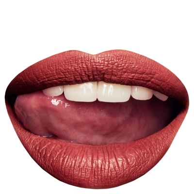 Rouge à Lèvres Liquide Mat Matte My Day INC.redible (plusieurs teintes disponibles) - Endless Ambition
