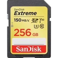Exrteme 256 GB mémoire flash 256 Go SDXC UHS-I Classe 10, Carte mémoire