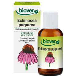 Biover Echinacea Purpurea características