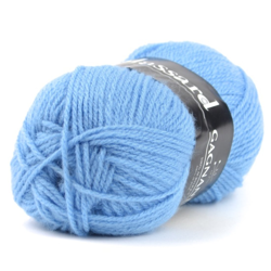 Pelote de laine gagnante bleu - Plassard precio