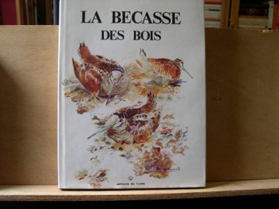 La becasse des bois / scolopax rusticola (.)