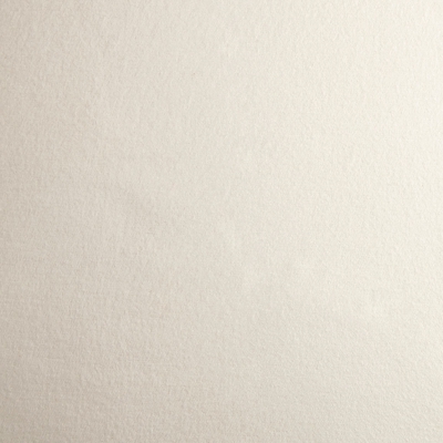 Tissu flanelle grande largeur crème Caen