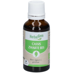 Herbalgem Cassis Bio características