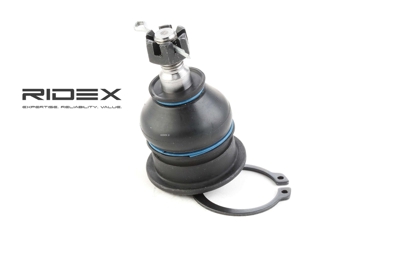 RIDEX Rotule De Suspension 2462S0146 Rotule Inferieur,Rotule De Triangle HONDA,CIVIC VI Hatchback EJ, EK,CIVIC V Hatchback EG,CR-V I RD,ACCORD VII CL
