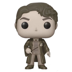 TOM RIDDLE SEPIA / HARRY POTTER / FIGURINE FUNKO POP en oferta
