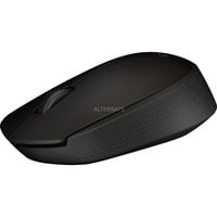B170 souris Ambidextre RF sans fil Optique precio