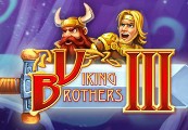 Viking Brothers 3 Steam CD Key