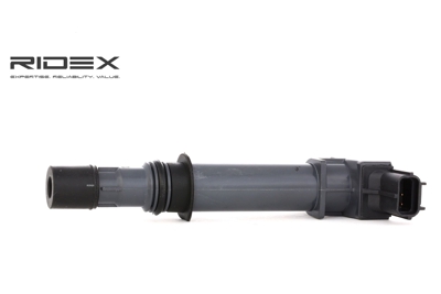 RIDEX Bobines d'Allumage JEEP,DODGE 689C0047 56028138,56028138AB,56028138AD Bobine d'allumage 56028138AE,56028138AF