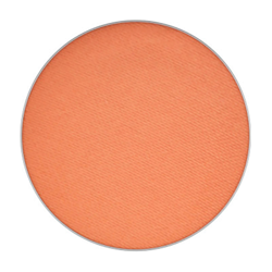 Ombres à paupieres Pro Palette Refill de MAC (ombres variées) - Matte - Rule en oferta