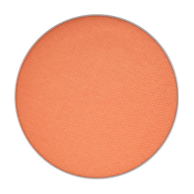 Ombres à paupieres Pro Palette Refill de MAC (ombres variées) - Matte - Rule