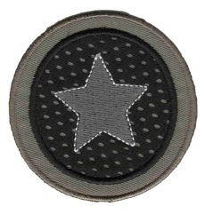 Écusson bouton étoile gris características