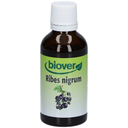 Biover Groseillier noir (Ribes nigrum) Teinture mère Bio precio